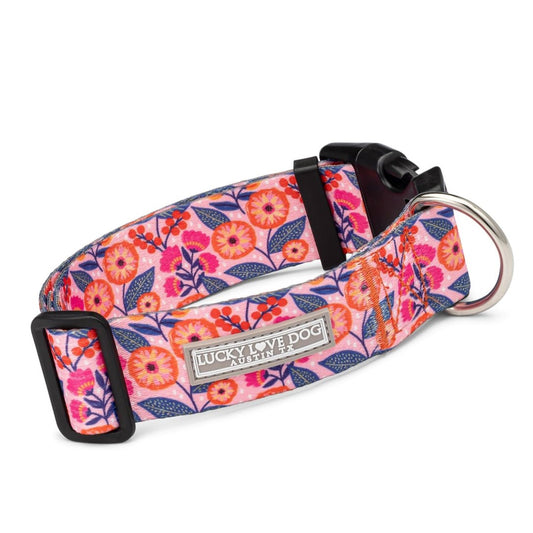 Rosie Wide Collar