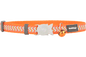 Cat Collars - Reflective