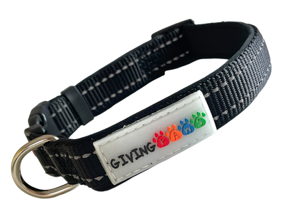 Neoprene Padded Nylon Dog Collar