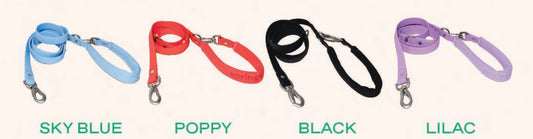 Small & Regular Leash (Case of 4)