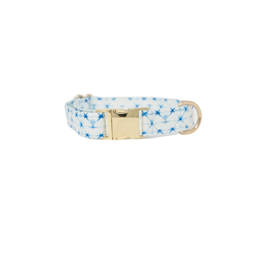 Drew Dog Collar