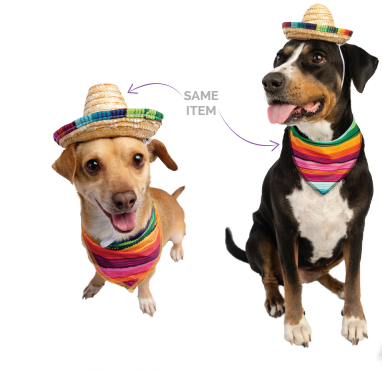 Sombrero Hat and Collar Set