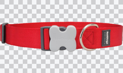 Buckle Bone Dog Collars - Classic (Solid)