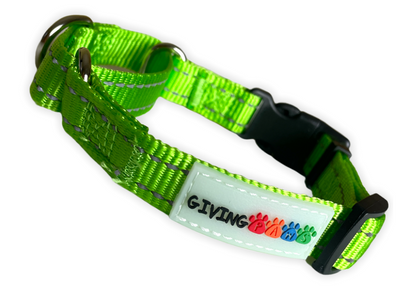 Giving Paws green dog collar with reflective stitching and black buckle