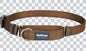 Martingale Dog Collars - Classic (Solid)