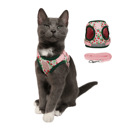 "The True Adventurer" Harness & Leash