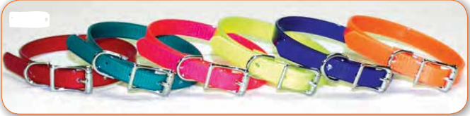 SunGloTM Puppy Collar