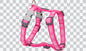 Dog Harness (H-Style) - Design