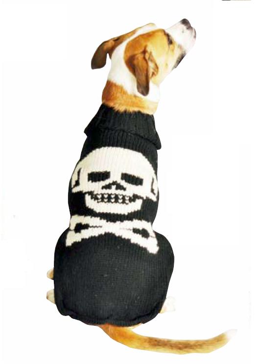 Dog wearing a black sweater with a white skull and crossbones design