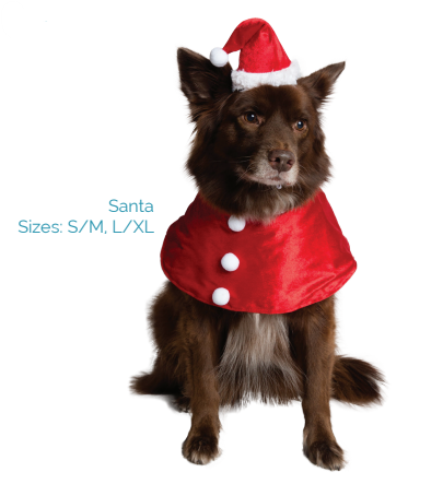 Santa Hat & Collar Set