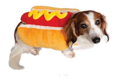 Hot Dog Costume
