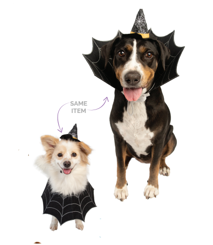 Witch Hat and Collar Set