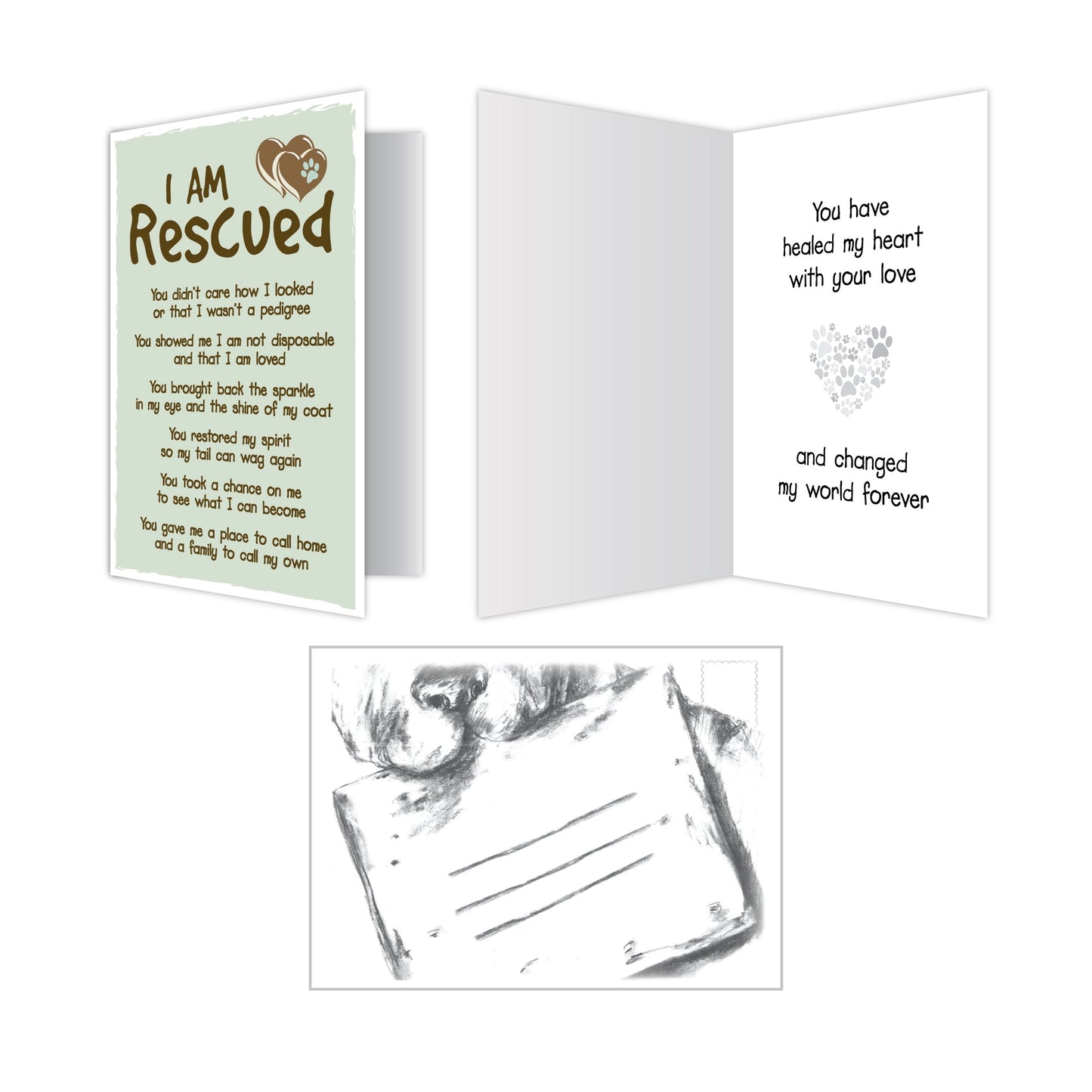 Rescue Cards (Pack of 6)