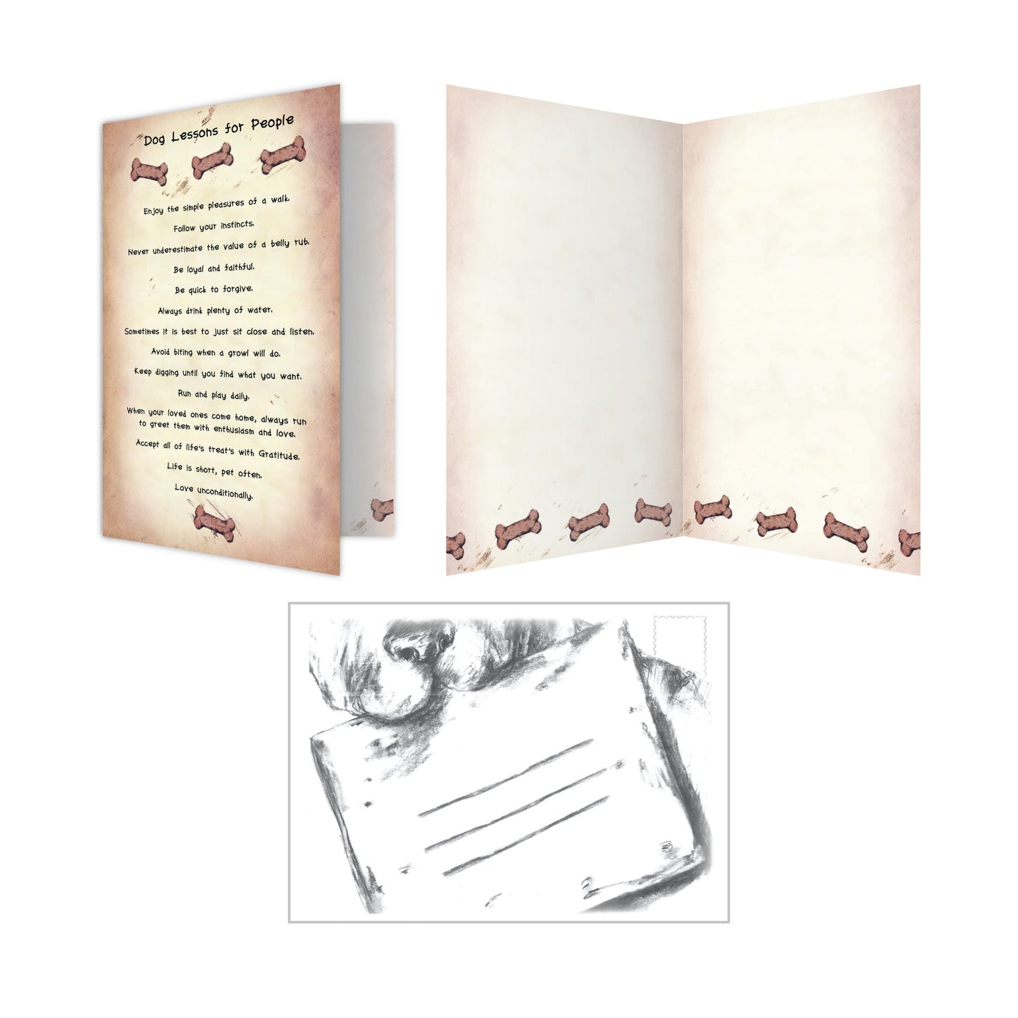 Blank Cards (Pack of 6)