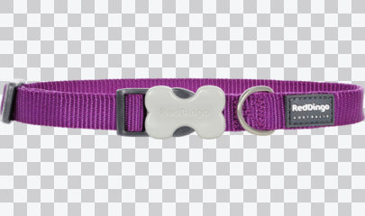 Buckle Bone Dog Collars - Classic (Solid)