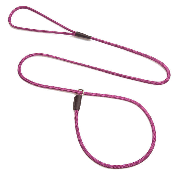 Slip w/Tab Show Leads/Leashes