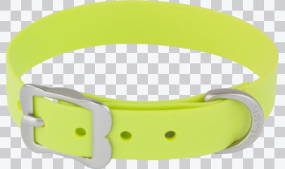 Vivid PVC Dog Collar