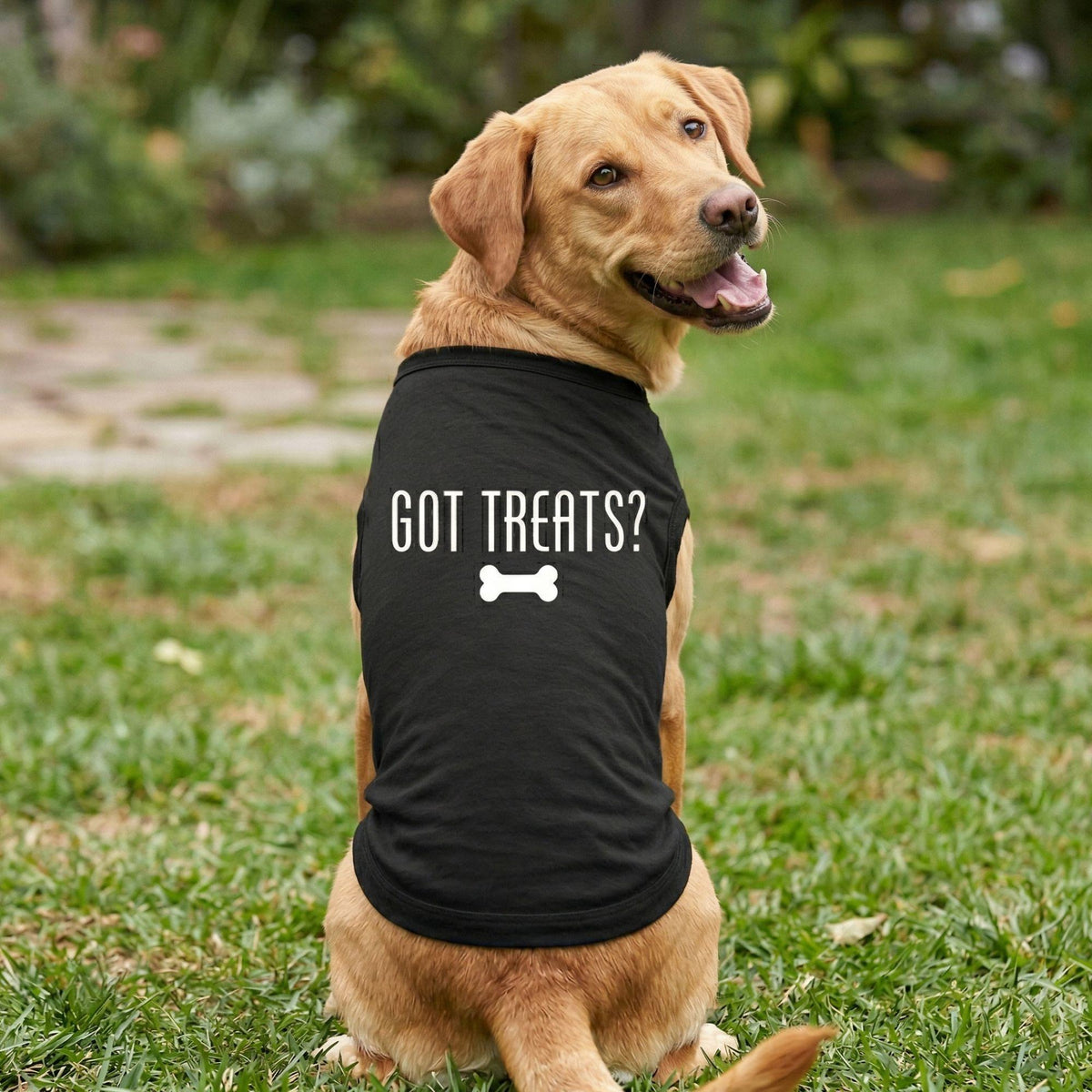 Fun T-Shirt - Got Treats Dog Shirt - Black