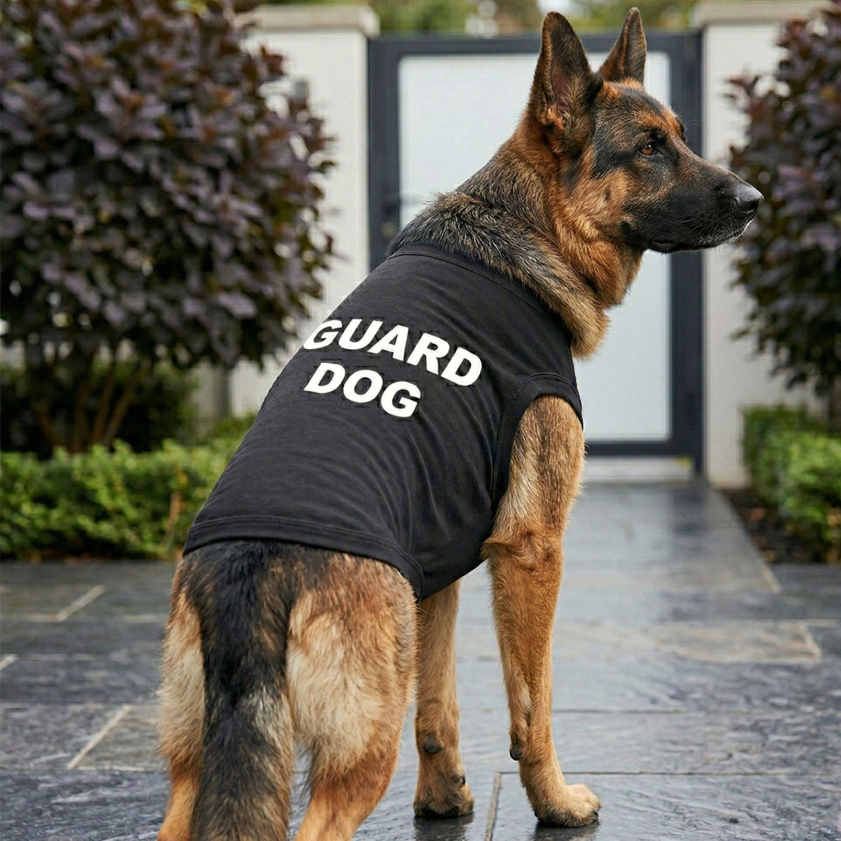 Fun T-Shirt - Guard Dog Shirt - Black