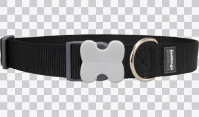 Buckle Bone Dog Collars - Classic (Solid)