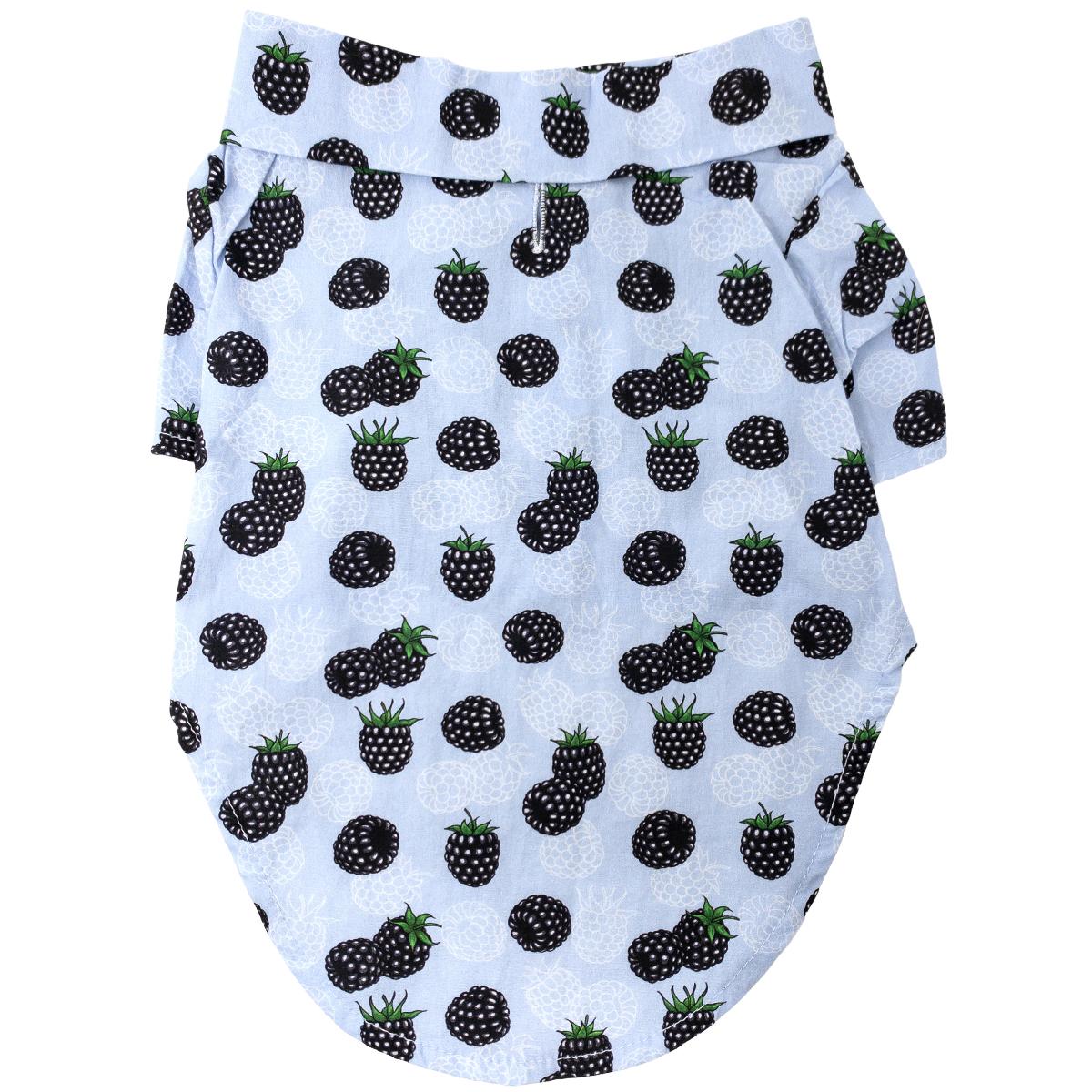 Blackberries