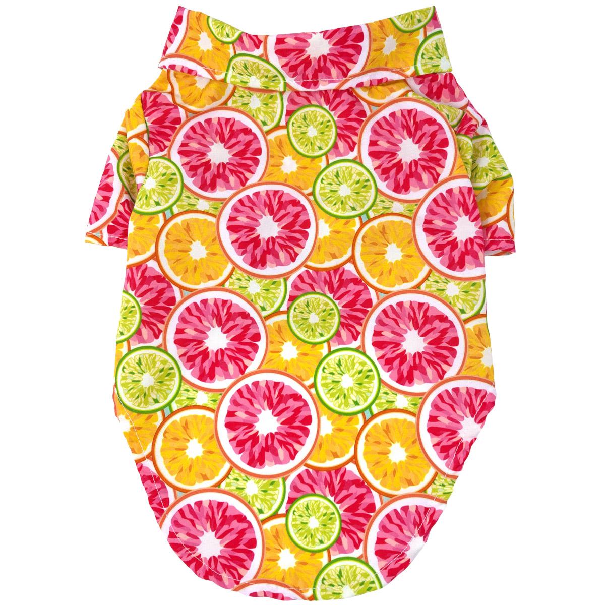 Citrus Slice