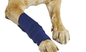 Elastic Wrap Leg Bandage