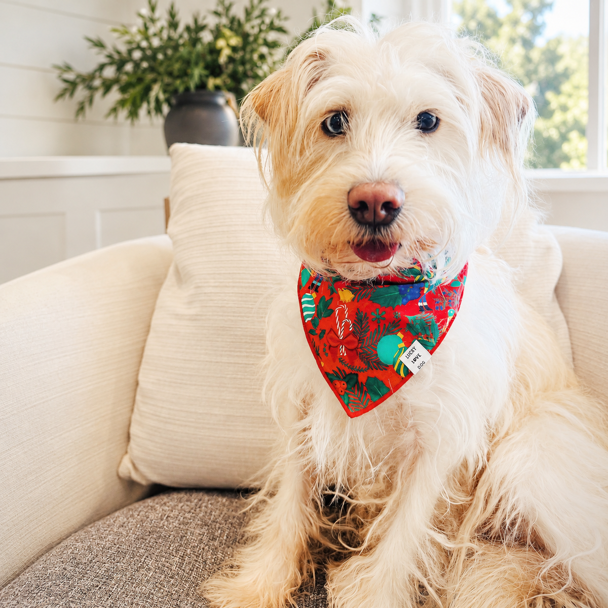 Fritz Holiday Reversible Bandana