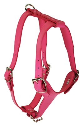 Signature Leather Harness (Plain)