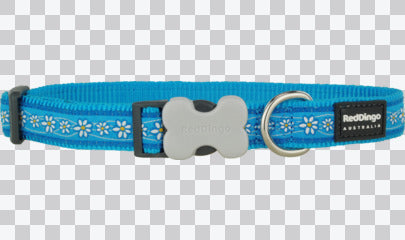 Buckle Bone Dog Collars - Design - Daisy Chain