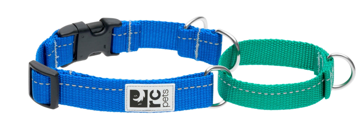 Web Training Clip Collar Primary