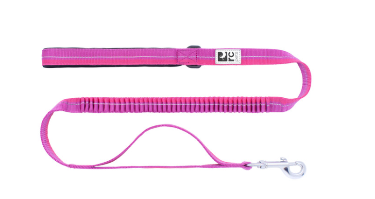 Bungee Traffic Leash