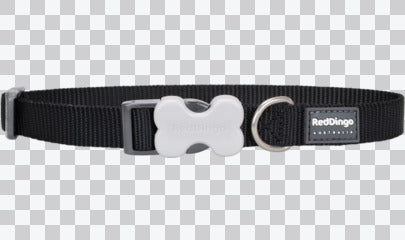 Buckle Bone Dog Collars - Classic (Solid)