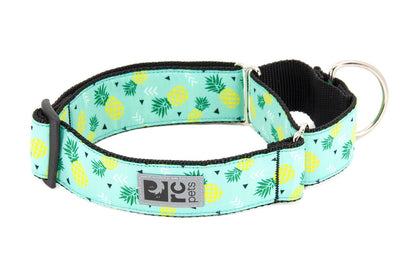 All Webbing Training Collar
