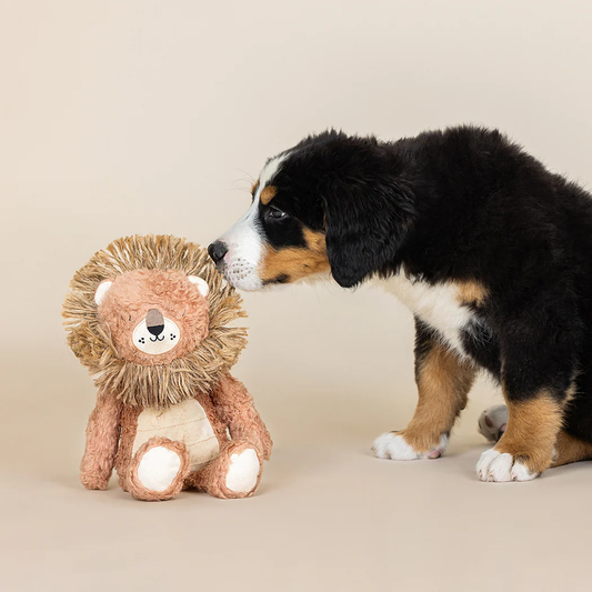 MIGHTY MANE EARTH FRIENDLY DOG TOY Case of 4