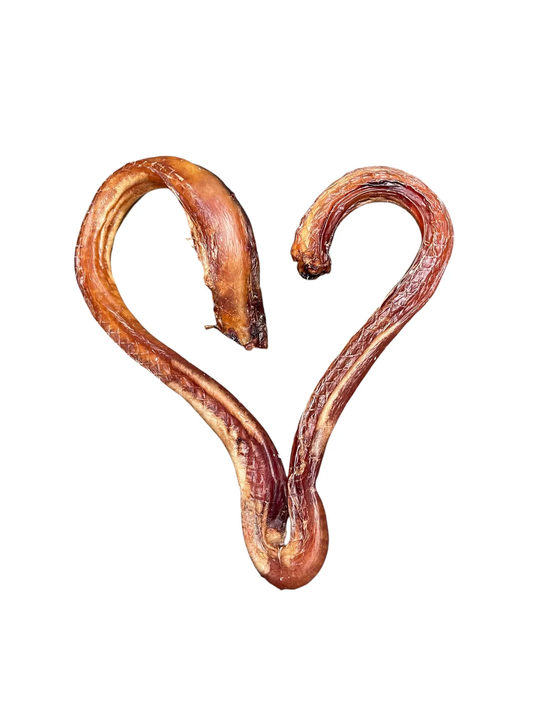Ancestral Raw dehydrated bull pizzle shaped into a heart