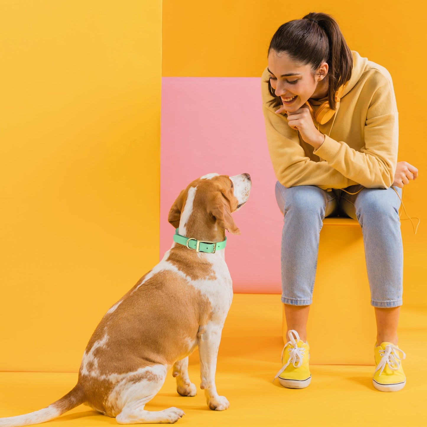 Viper Biothane Waterproof Collar - Brass Hardware - Size XL, Wide (20 to 24 inches)