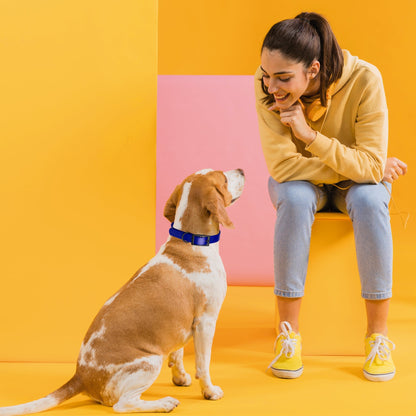 Biothane Waterproof Dog Collar - S (12 to 15 inches)