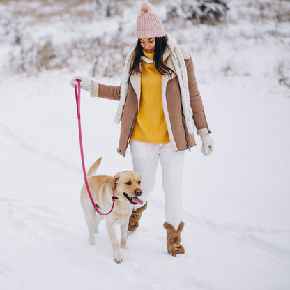 Viper Biothane Long Line 15 ft Dog Lead