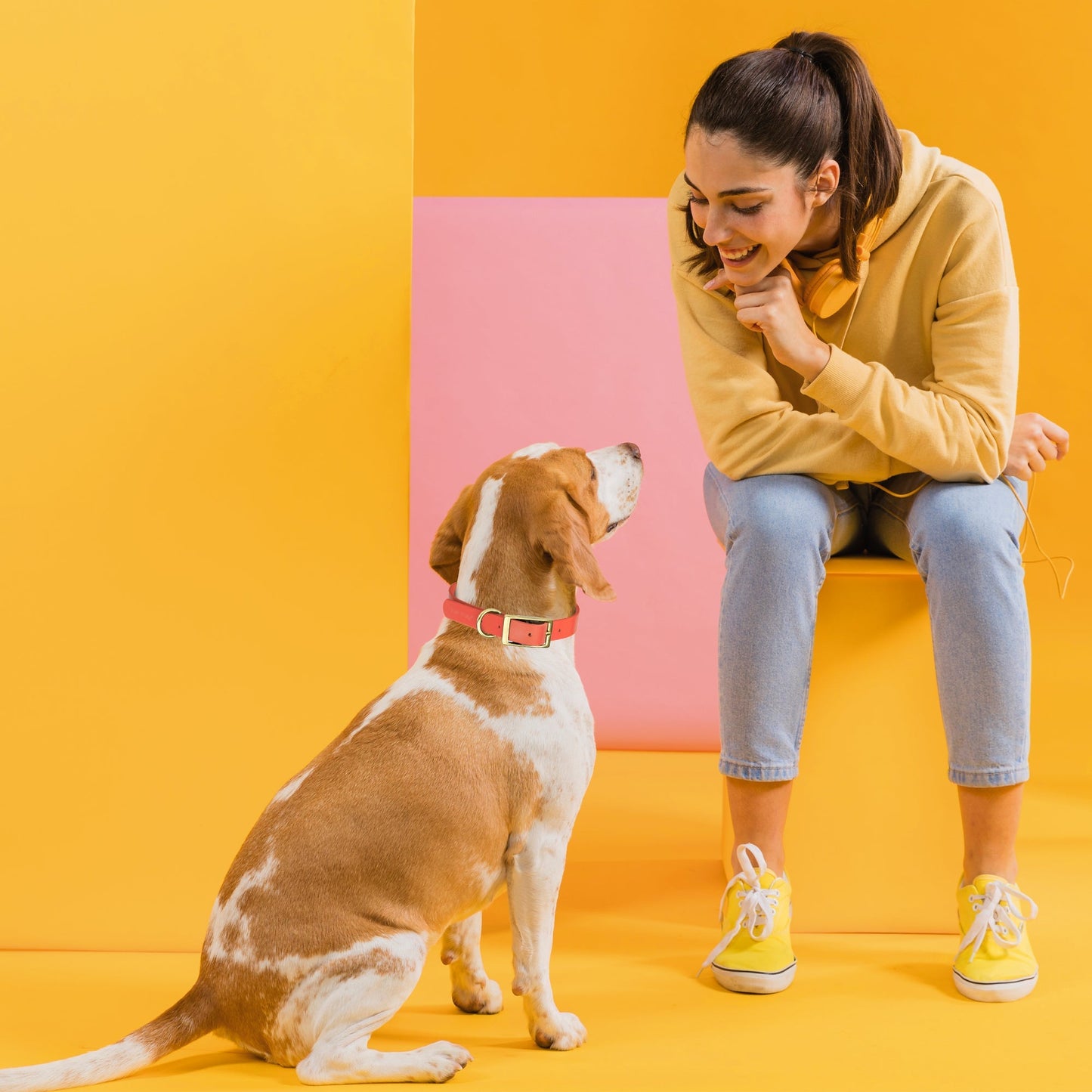 Viper Biothane Waterproof Collar - Brass Hardware - Size XXL, 1.5 in Wide (24 to 28 inches)