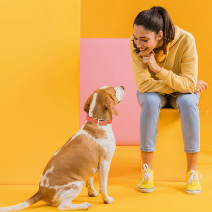 Viper Biothane Waterproof Collar - Brass Hardware - Size XXL, 1.5 in Wide (24 to 28 inches)