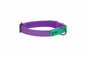 RC Pet Products Waterproof Collar in purple and green