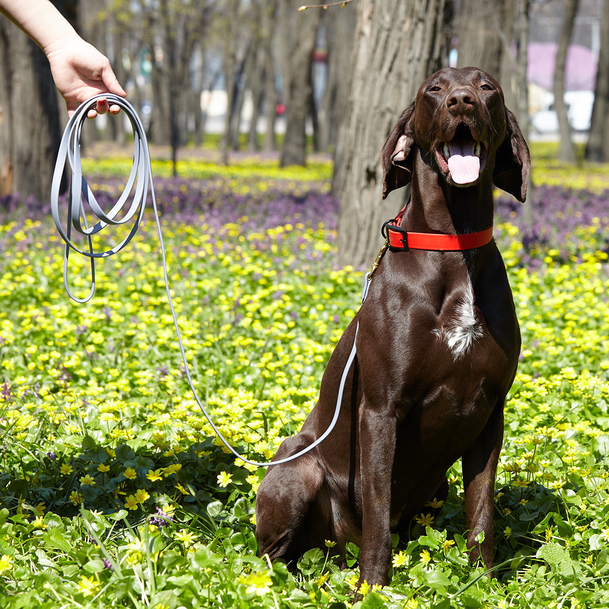 Viper Biothane Working Dog Lead, 4 Feet Long