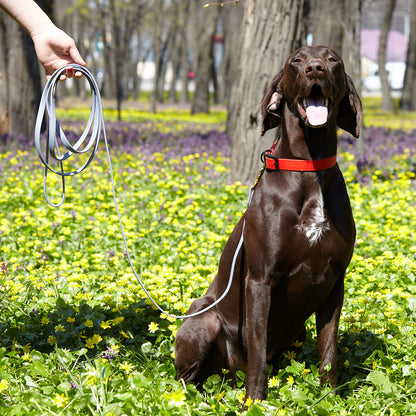 Viper Biothane Working Dog Lead, 4 Feet Long