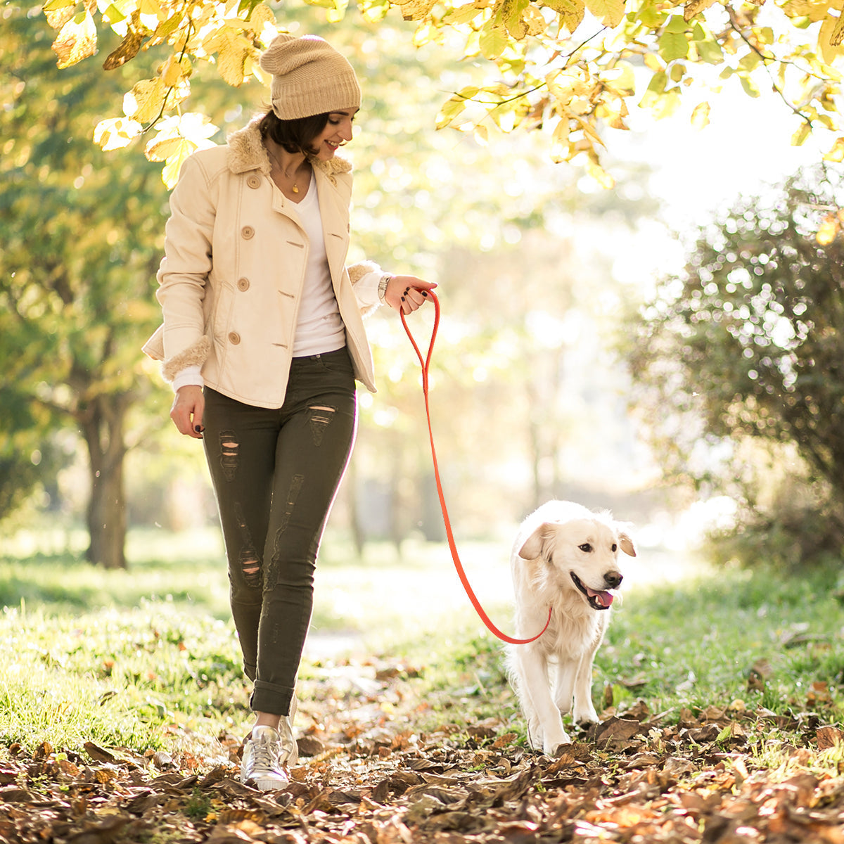 Viper Long Line 20 ft Biothane Dog Lead