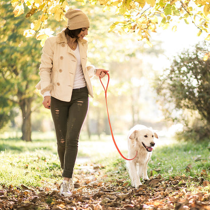 Viper Long Line 20 ft Biothane Dog Lead