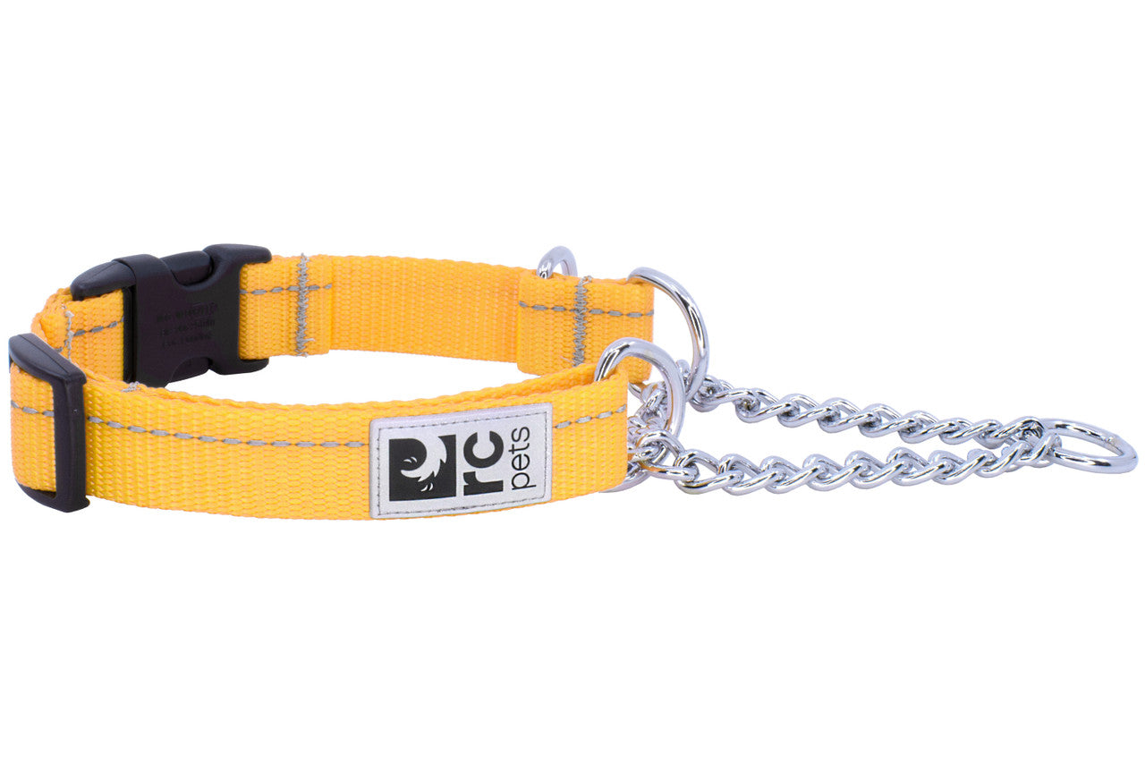 Training Clip Collar Primary