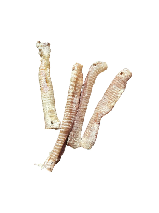 Dehydrated Lamb Trachea- 12 Count