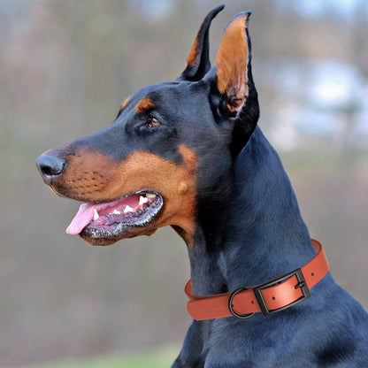 Biothane Waterproof Dog Collar - Wide - L (16 to 20 inches)