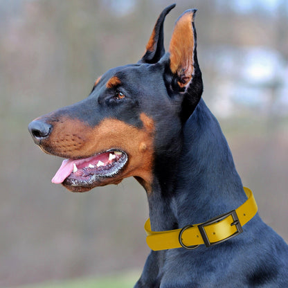 Biothane Waterproof Dog Collar - M (15 to 18 inches)